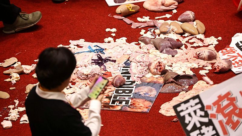Diputados de Taiwán se lanzan vísceras de cerdo contra la importación de porcino de EE.UU.