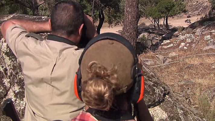 Jara y sedal - Pilar Escribano. La caza en las redes