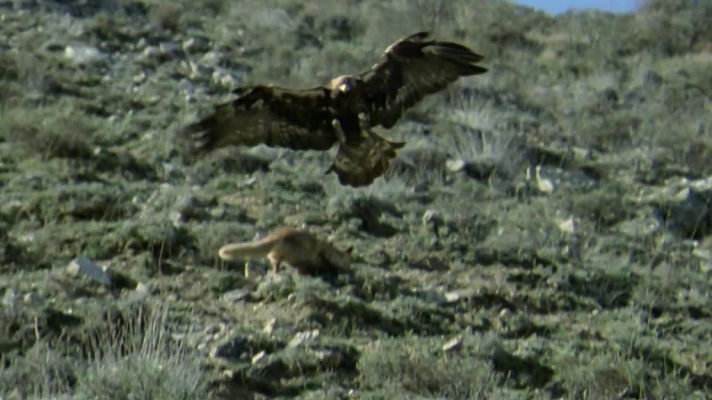 El hombre y la Tierra - Operación zorro I