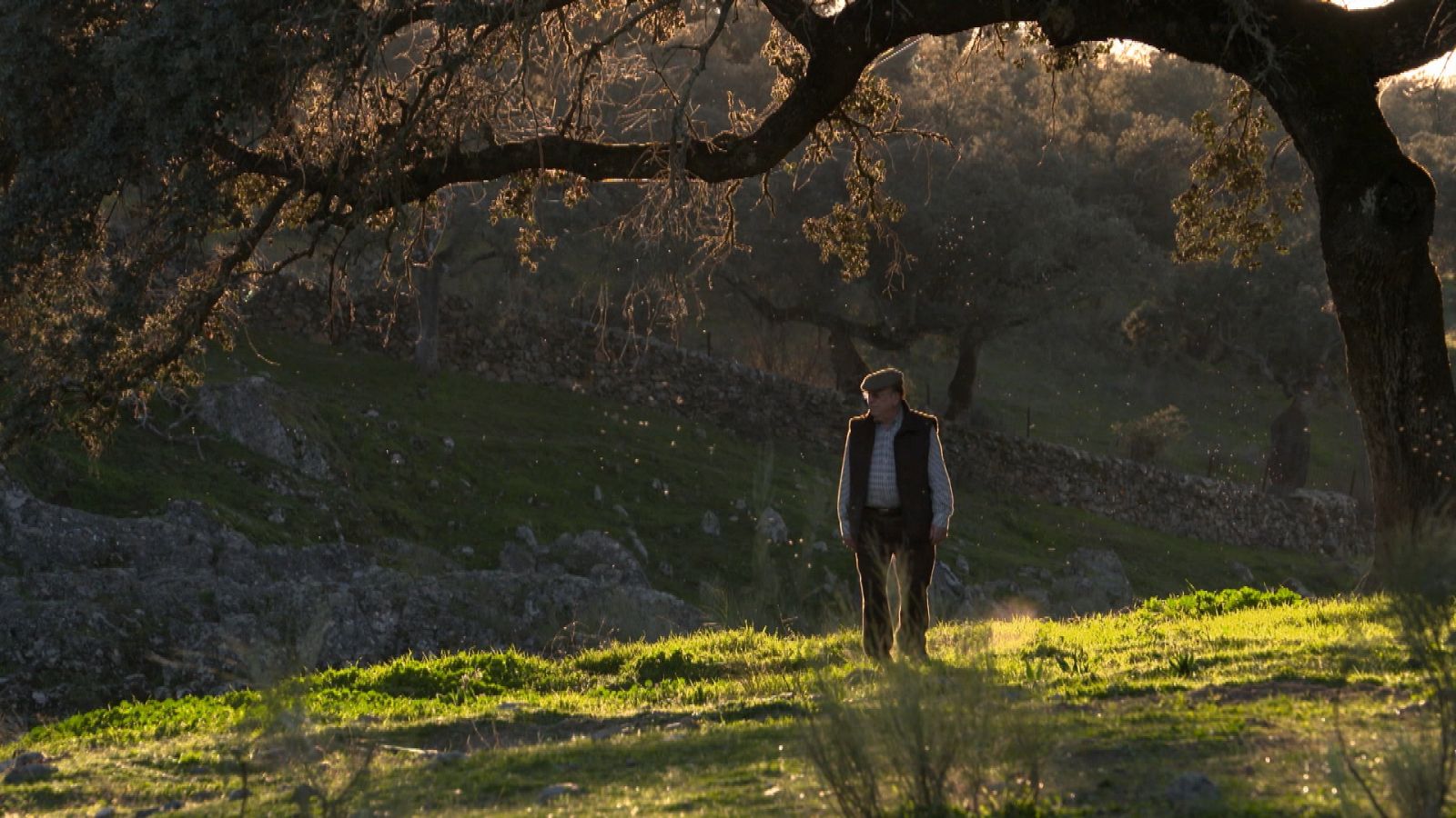 Tendido cero - 28/11/20 - RTVE.es