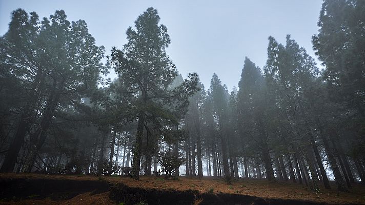 Precipitaciones localmente fuertes en Canarias