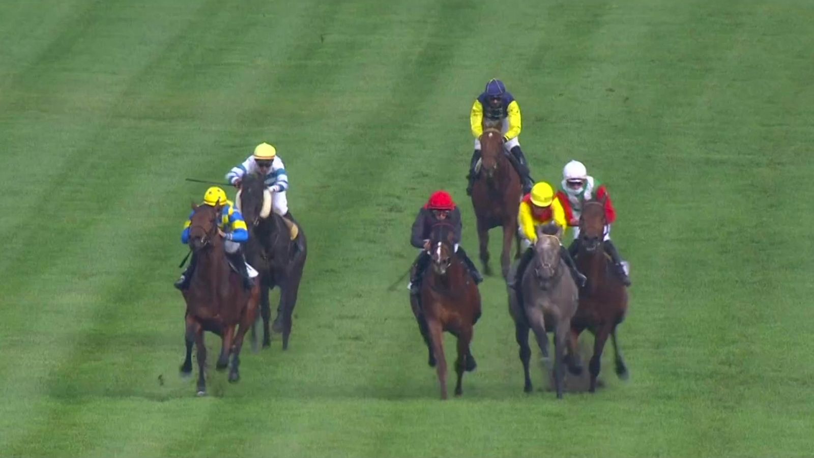 Hípica - Circuito nacional de carreras de caballos desde el Hipódromo de La Zarzuela - RTVE.es