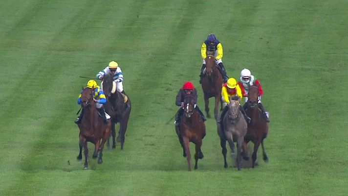 Circuito nal. carreras de caballos (Hip. La Zarzuela)