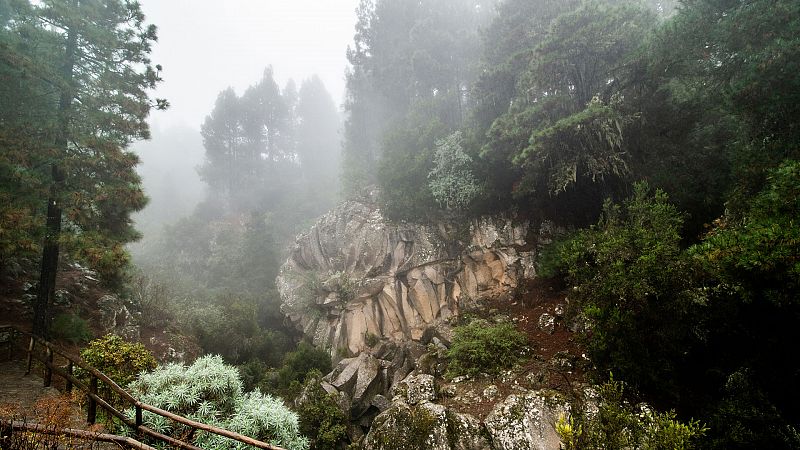 Precipitaciones localmente fuertes o persistentes en el oeste de Canarias - Ver ahora