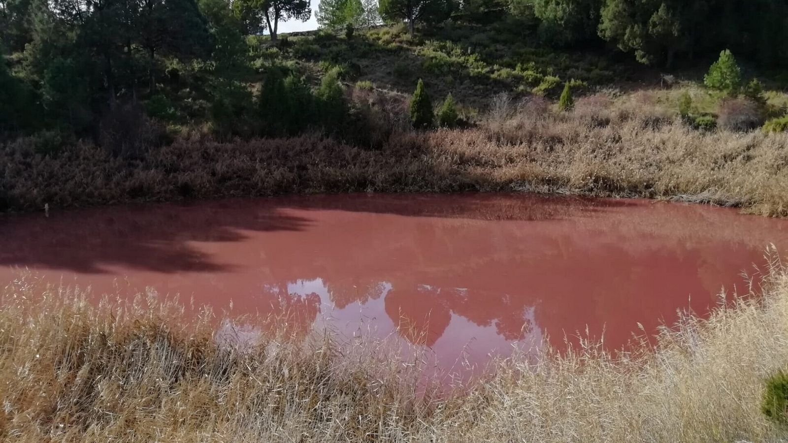 España Directo - La laguna rosa de Cuenca