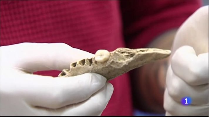 L'informatiu - Comunitat Valenciana - Los antepasados prehistóricos de Atzeneta