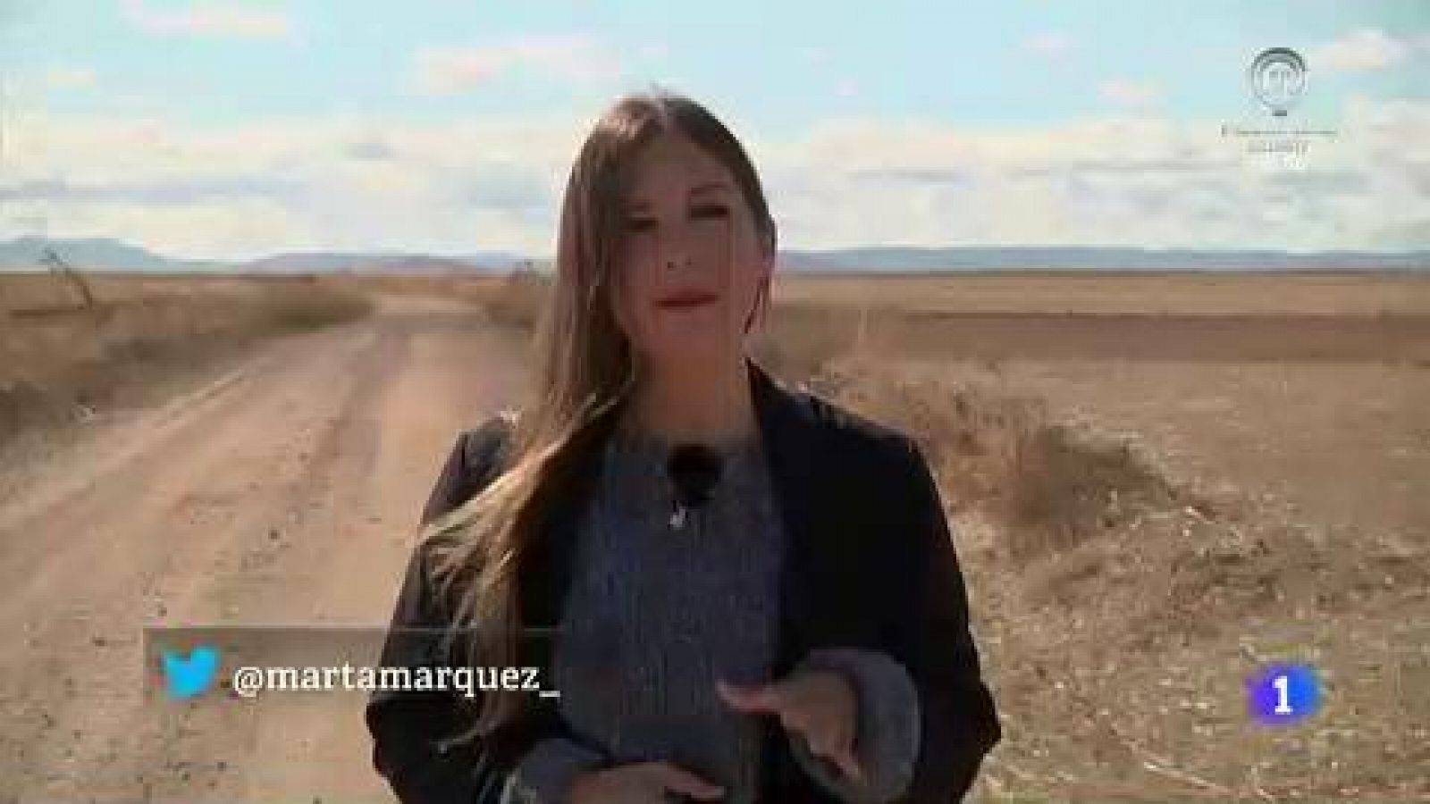 Aquí la Tierra - El trabajo del trigo: ¿cómo se siembran los cereales?
