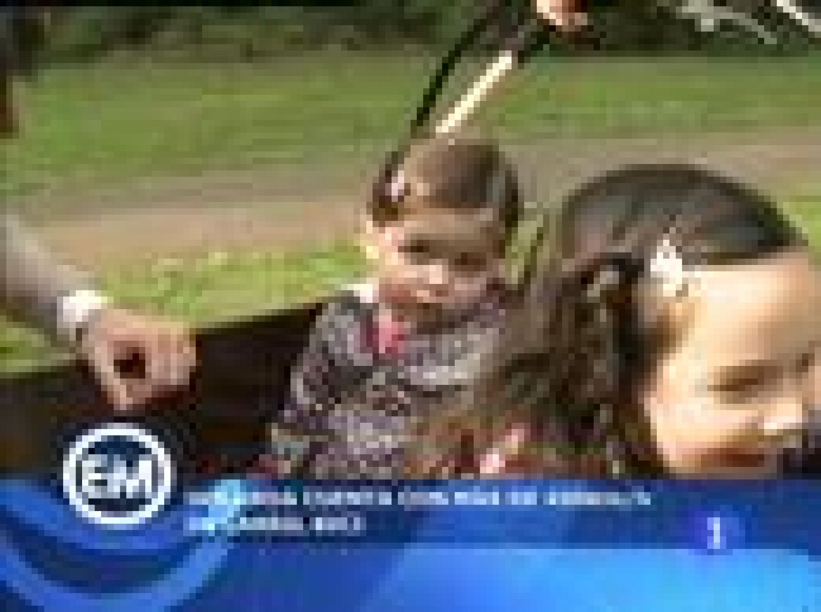 Españoles en Amsterdam. Ángel