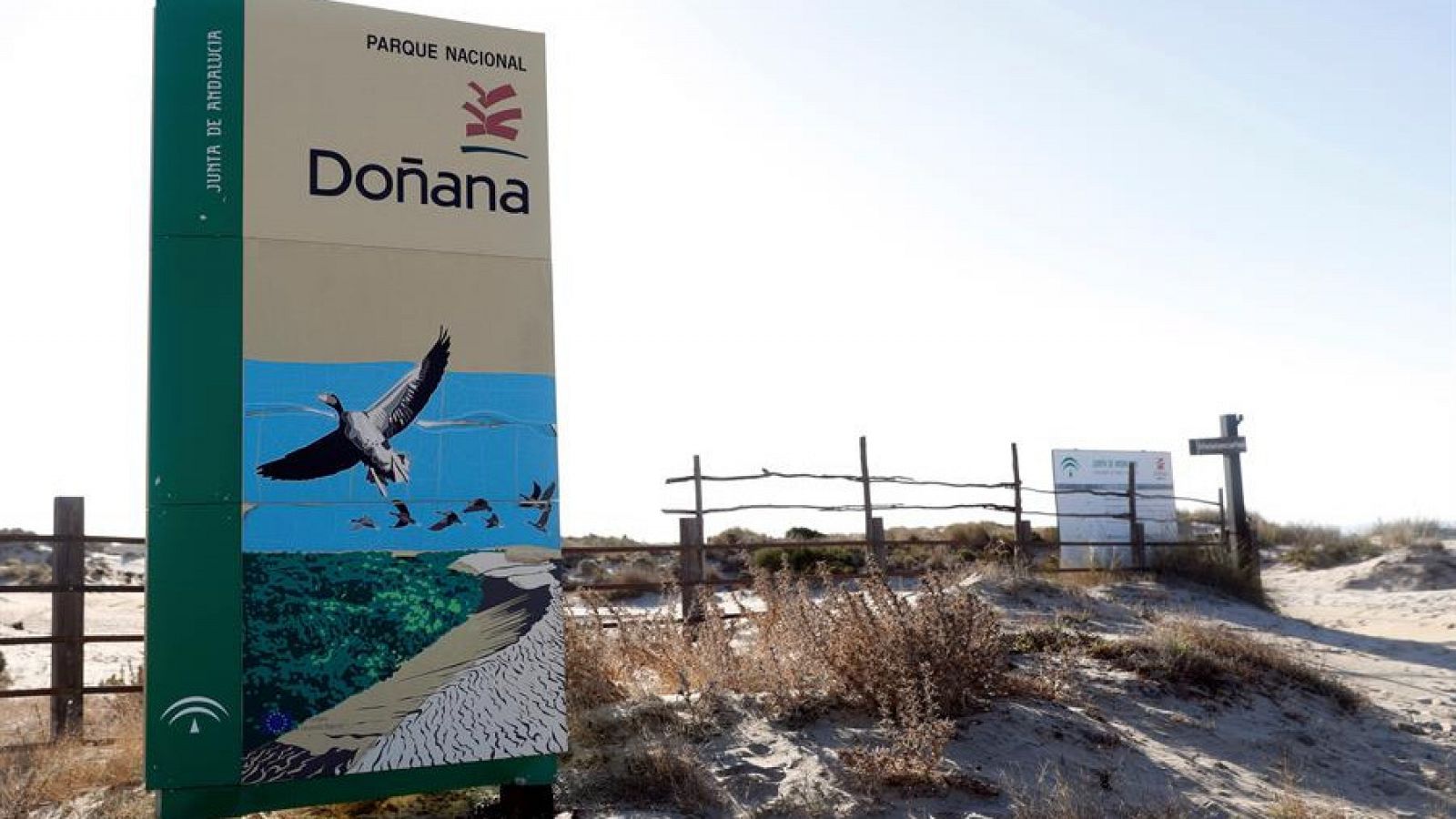 Las extracciones de agua en Doñana incumplen la normativa europea