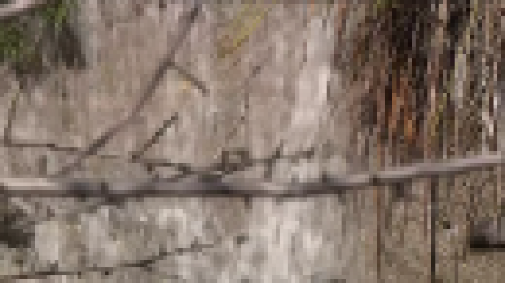 Telecanarias - Telecanarias 2 - 03/12/2020