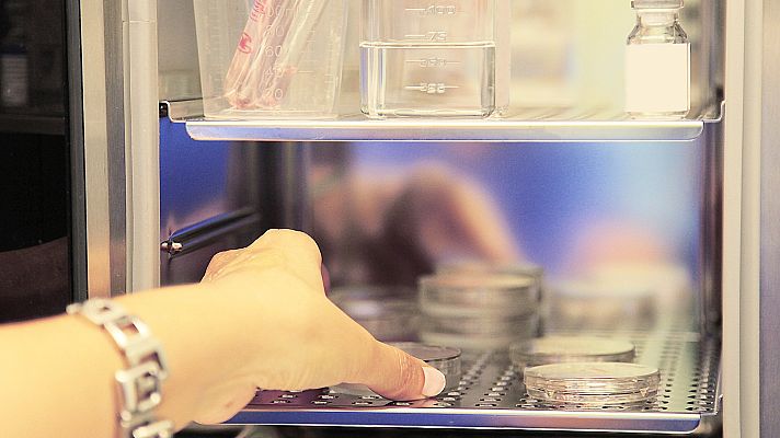 Telediario 1 - Molly, la bebé nacida de un embrión de 27 años