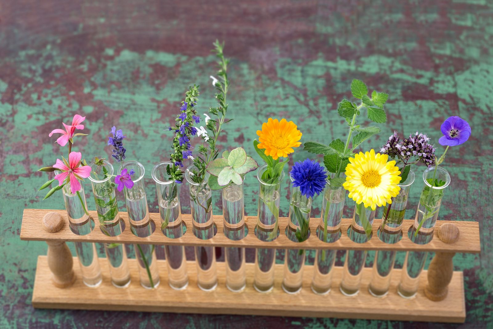 Aquí la Tierra - Un laboratorio rural: así se cuidaban antes nuestros antepasados