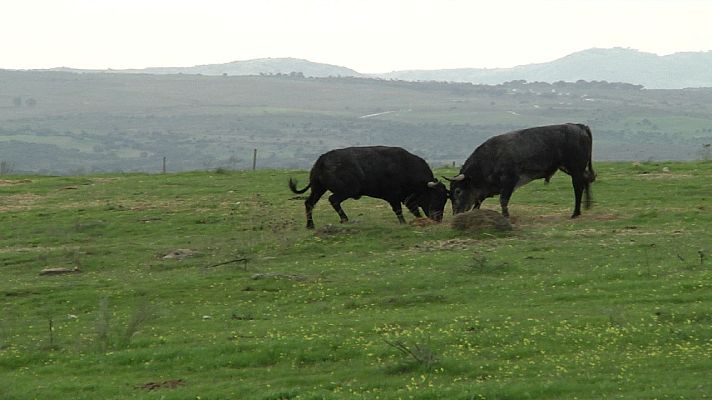 Tendido cero - Tendido cero - 05/12/20