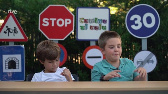 Seguridad vital 5.0 - Seguridad vital - 06/12/20