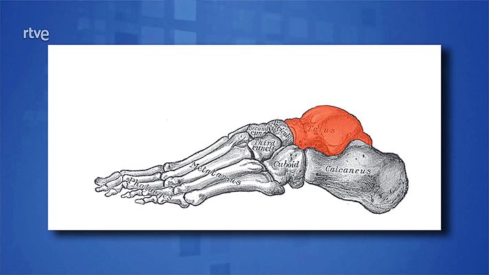 Saber y ganar - Saber y ganar. Edición de fin de semana - 06/12/20