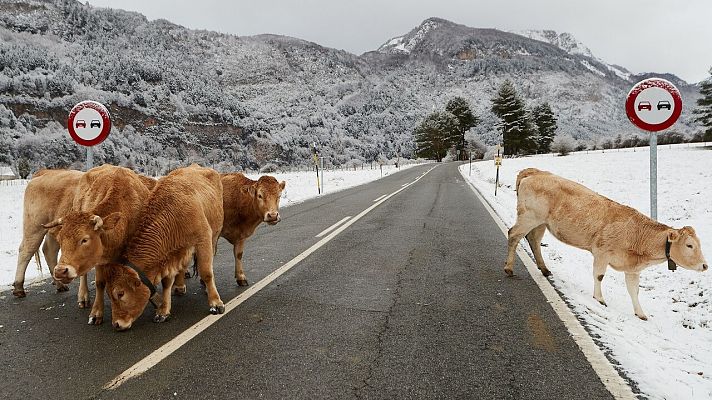 La borrasca 'Dora' barre el norte peninsular y obliga a activar avisos en 14 comunidades