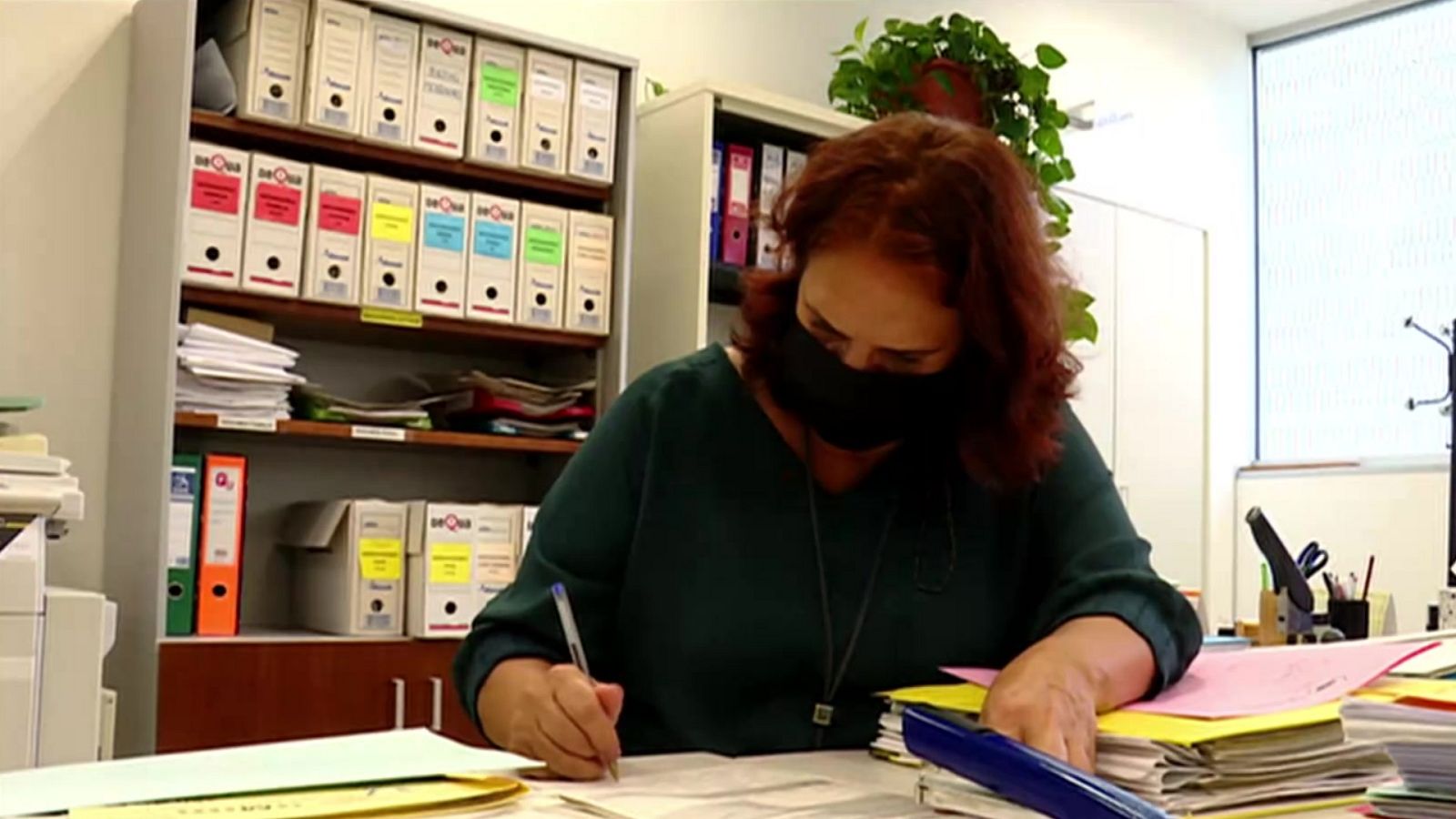 Repor - Que haya paz - ver ahora