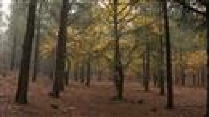 Telecanarias - El tiempo en Canarias - 07/12/2020