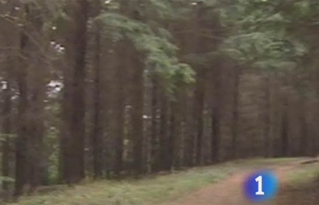  - Hallan el zulo número 13 de ETA