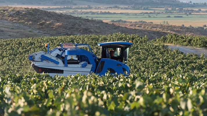 La agricultura, en el punto de mira de los fondos de inversión