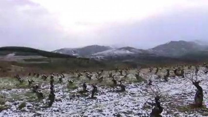 'Banco de Tierras', la exitosa iniciativa de El Bierzo para evitar el abandono y la despoblación