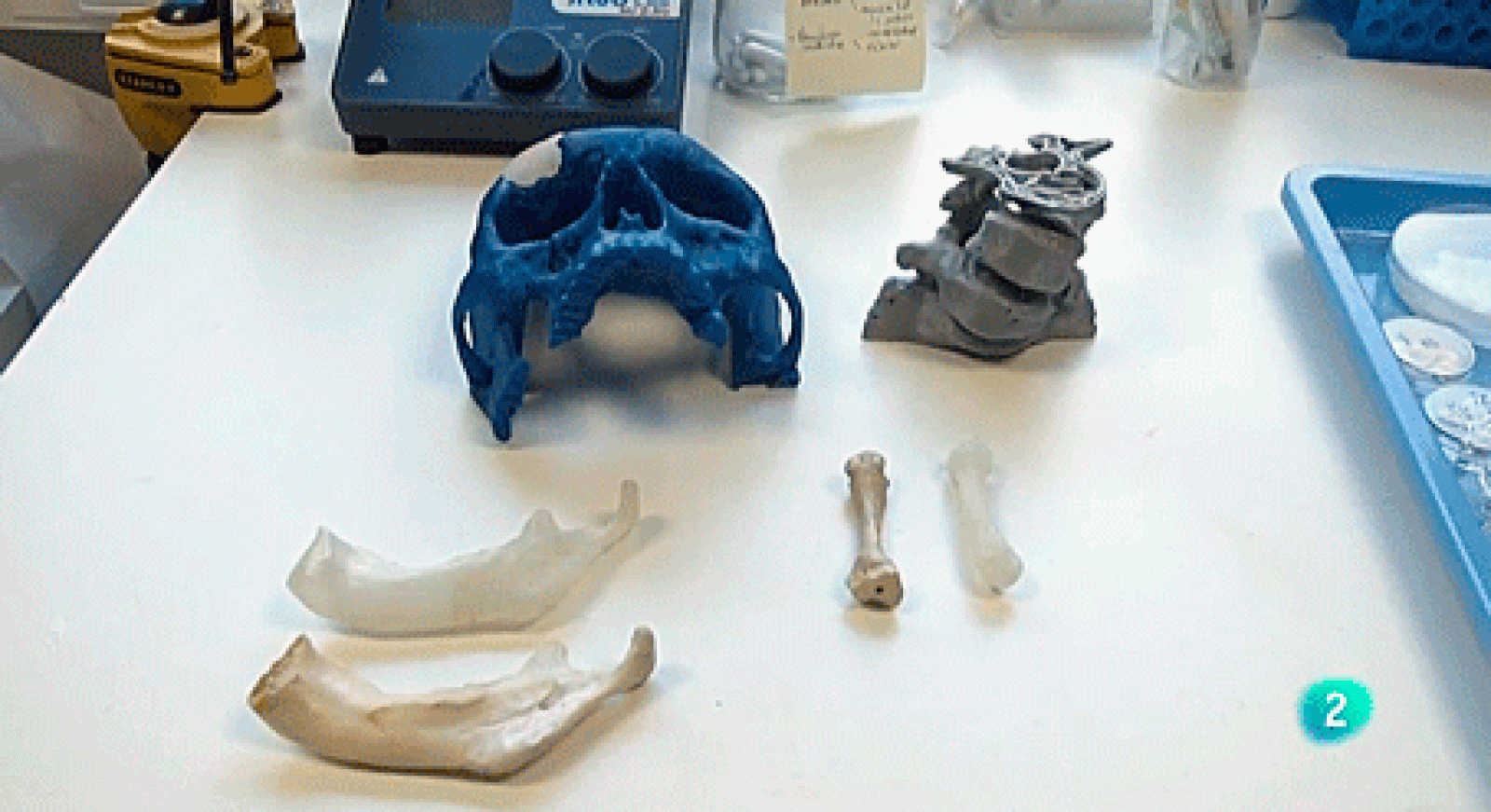 La aventura del saber Universo Sostenible se complementan ingenieria y medicina ciencia biomédica #AventuraSaberCiencia