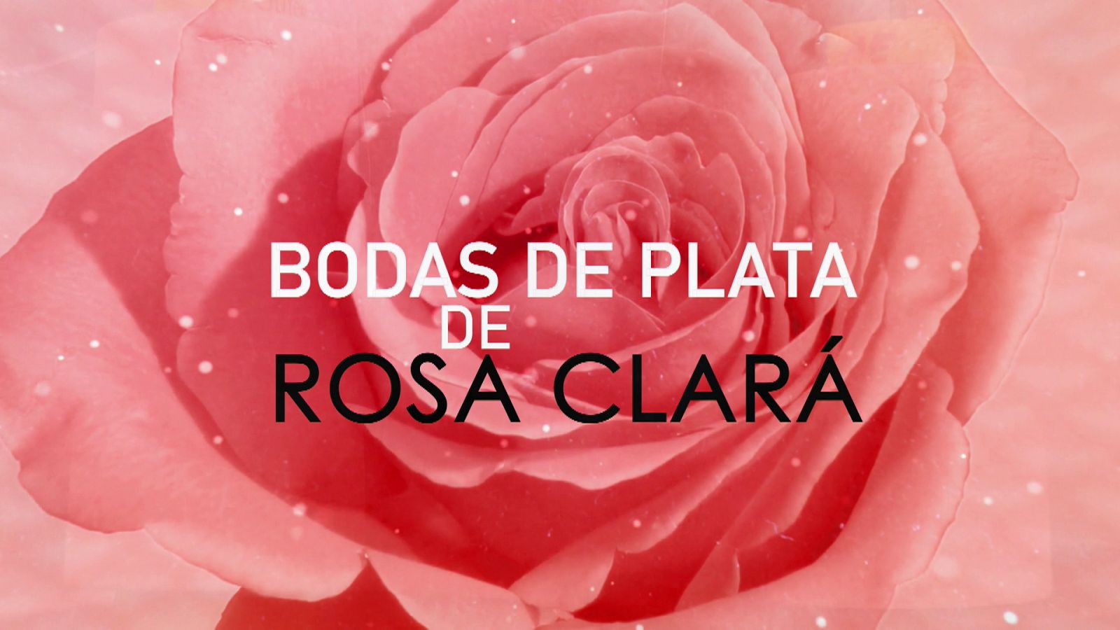 Flash Moda Monográficos - Las bodas de plata de Rosa Clará - Ver ahora