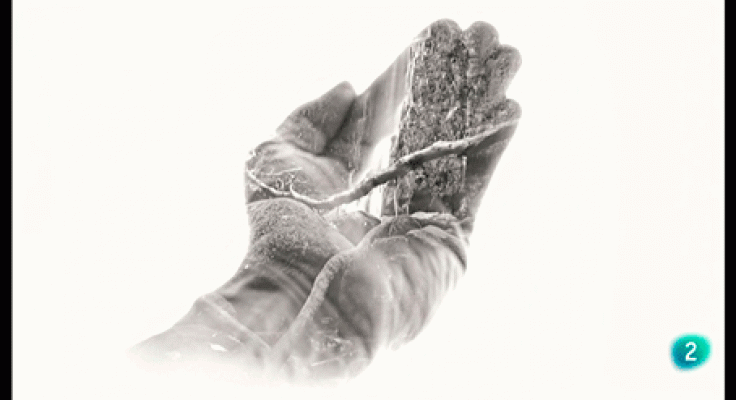 La aventura del Saber - Boek visual: Richard Le Manz