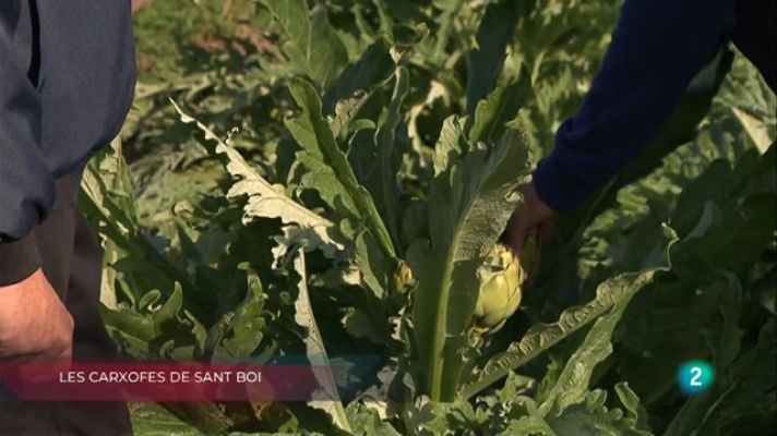 La Metro - Carxofes St Boi, Bretxa tecnològica i Cicle vida coses