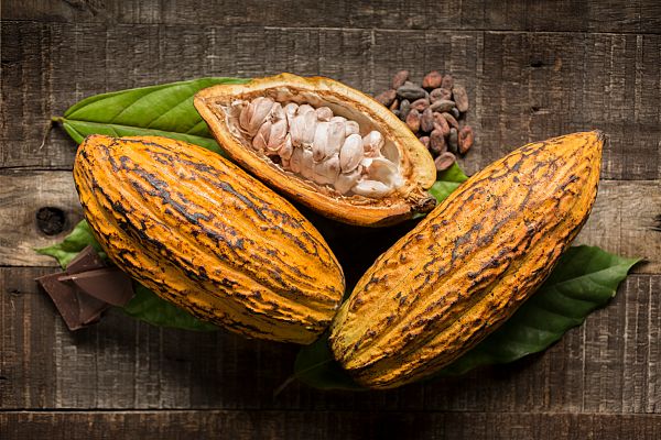 Aquí La Tierra - La casita de cacao vasca