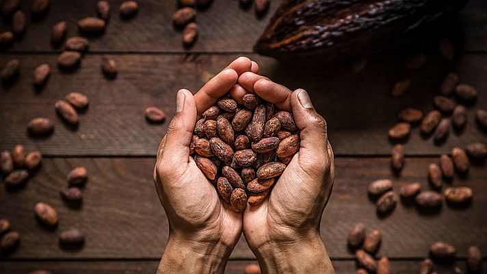 Aquí la Tierra - Aquí la Tierra - 11/12/20