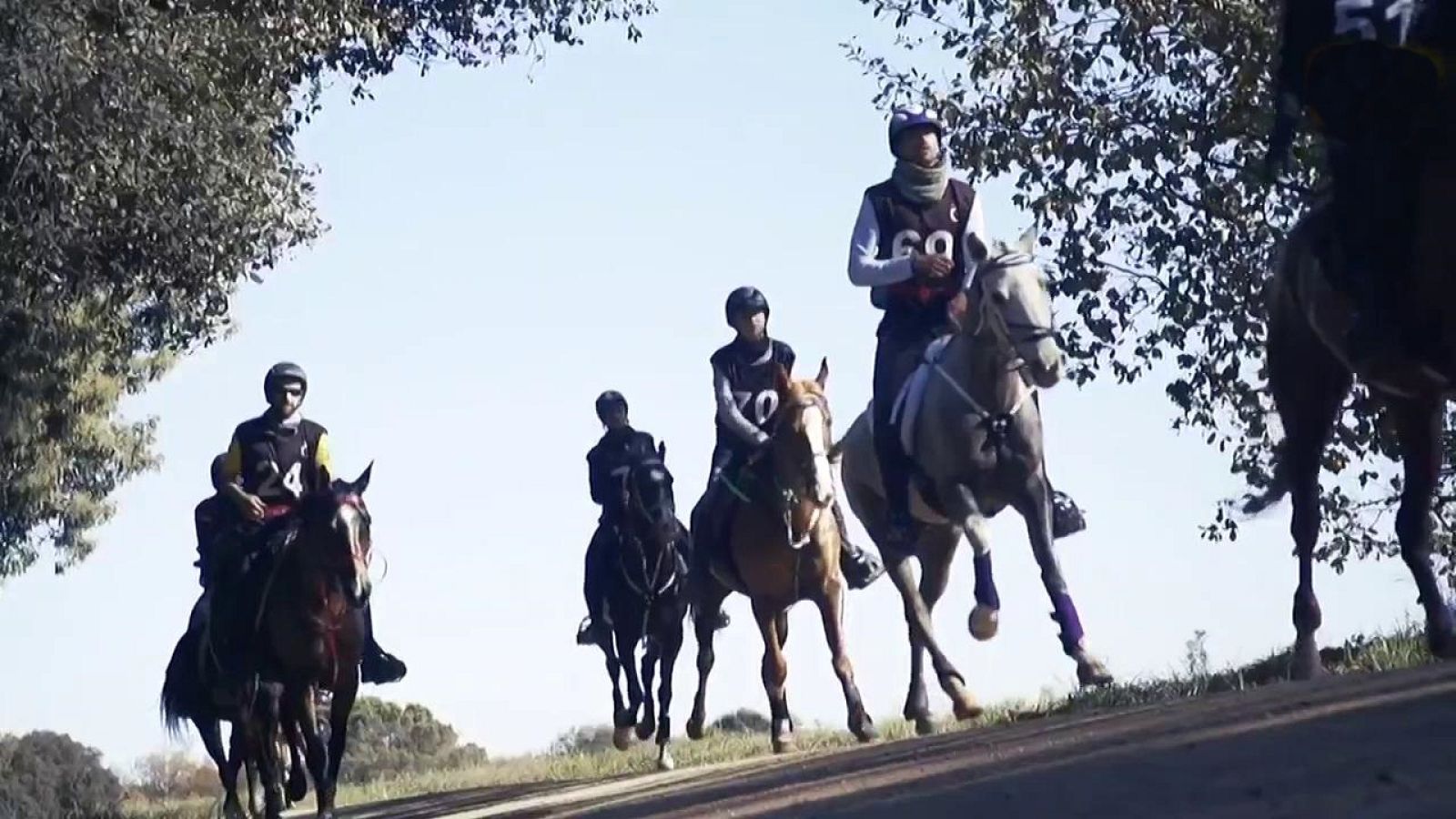 Evasión - T8 - Programa 16 - ver ahora