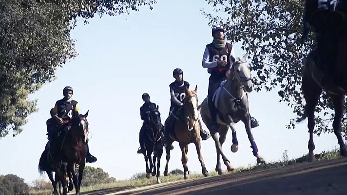 Evasión - T8 - Programa 16