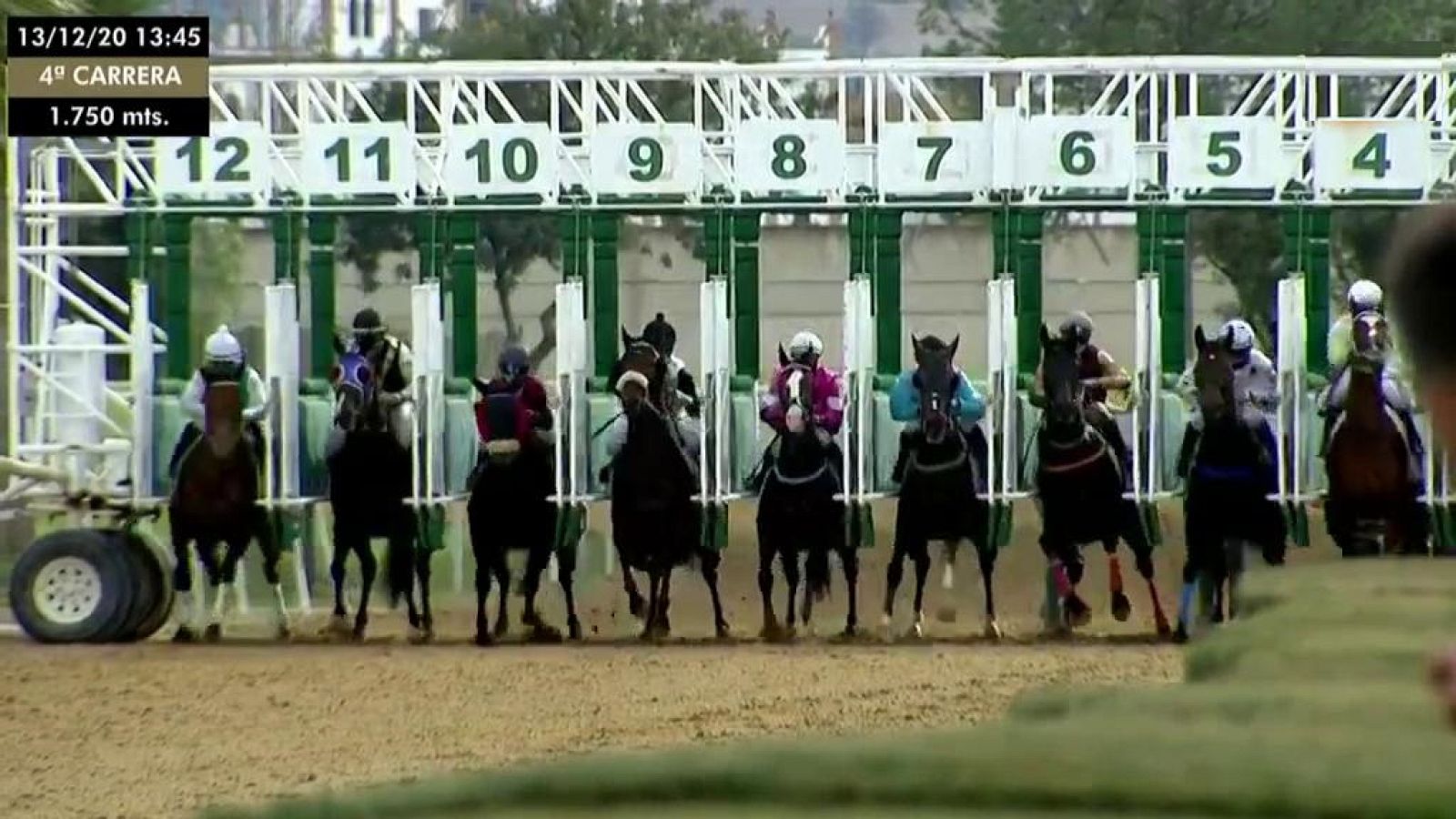 Hípica - Circuito nacional de carreras de caballos. Hipódromo de Pineda - ver ahora