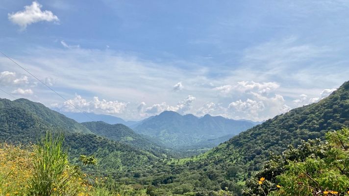  - Desplazamientos en Guerrero forzados por la violencia