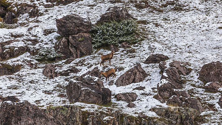 El tiempo - Heladas en Pirineos y, de forma dispersa, en la cordillera Cantábrica