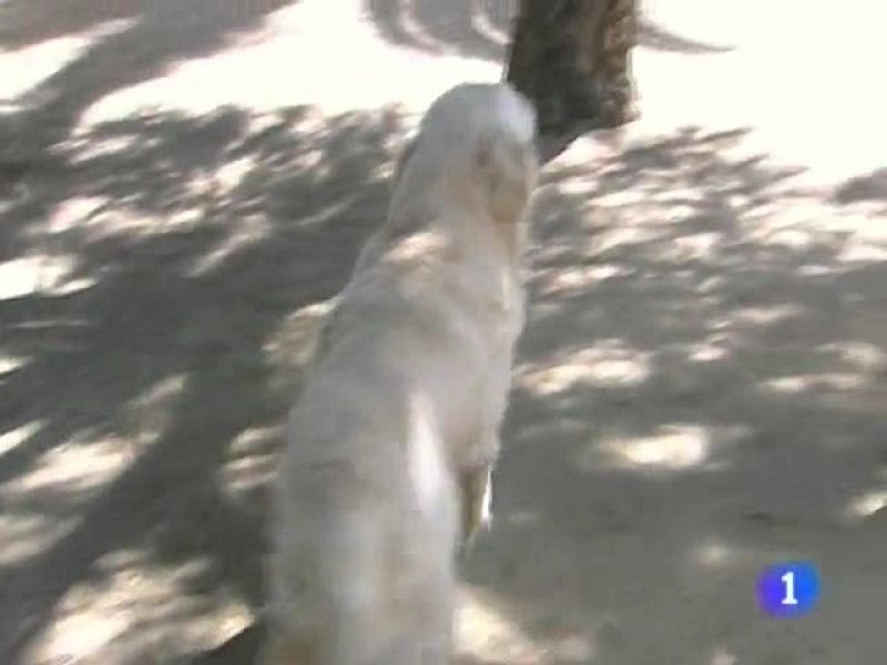 Noticias de Extremadura. Informativo Territorial de Extremadura (27/08/09)