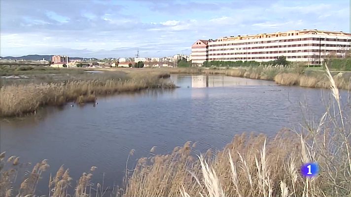 TeleCantabria - Inundaciones en zonas edificadas junto a la marisma