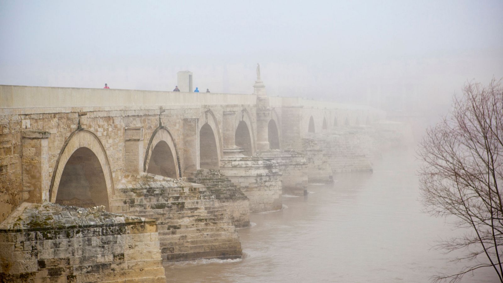 Probables nieblas matinales en el nordeste peninsular, sistema central occidental y valle del Guadalquivir - Ver ahora