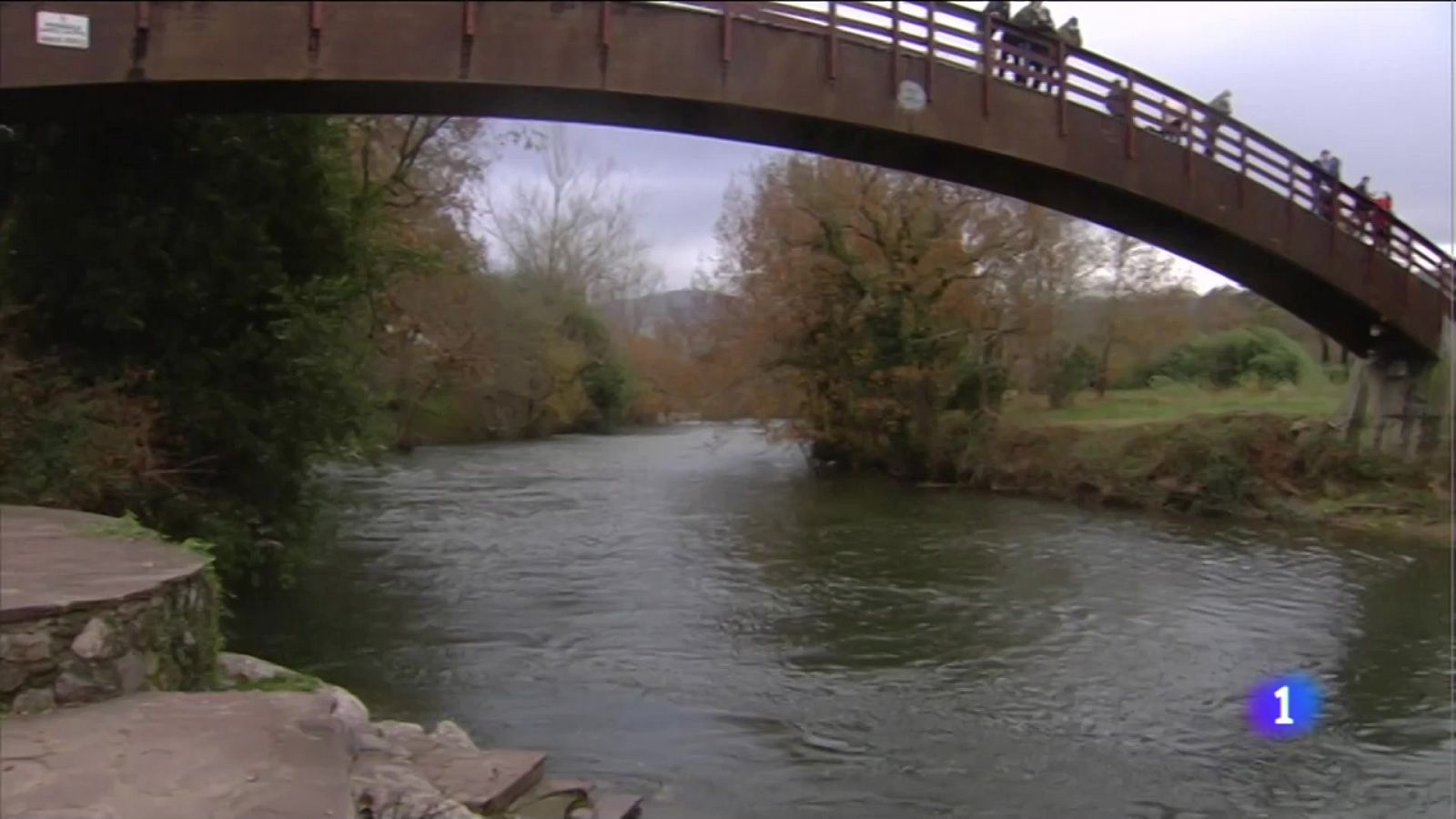 Control de la población de salmones en el Rio Pas