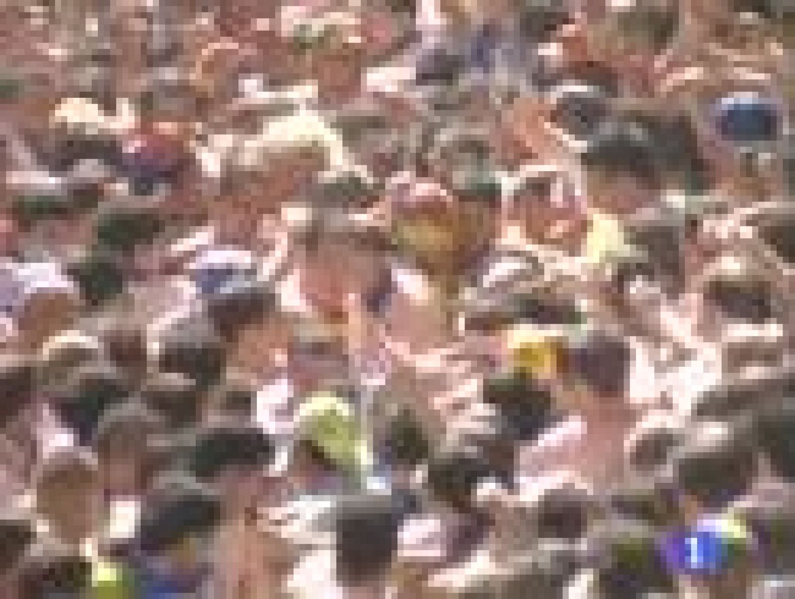 Noticias Aragón - 27/08/09 - Noticias Aragón | Ver