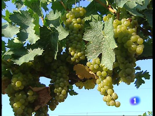 Informativo Telerioja - Informativo Telerioja - 27/08/09