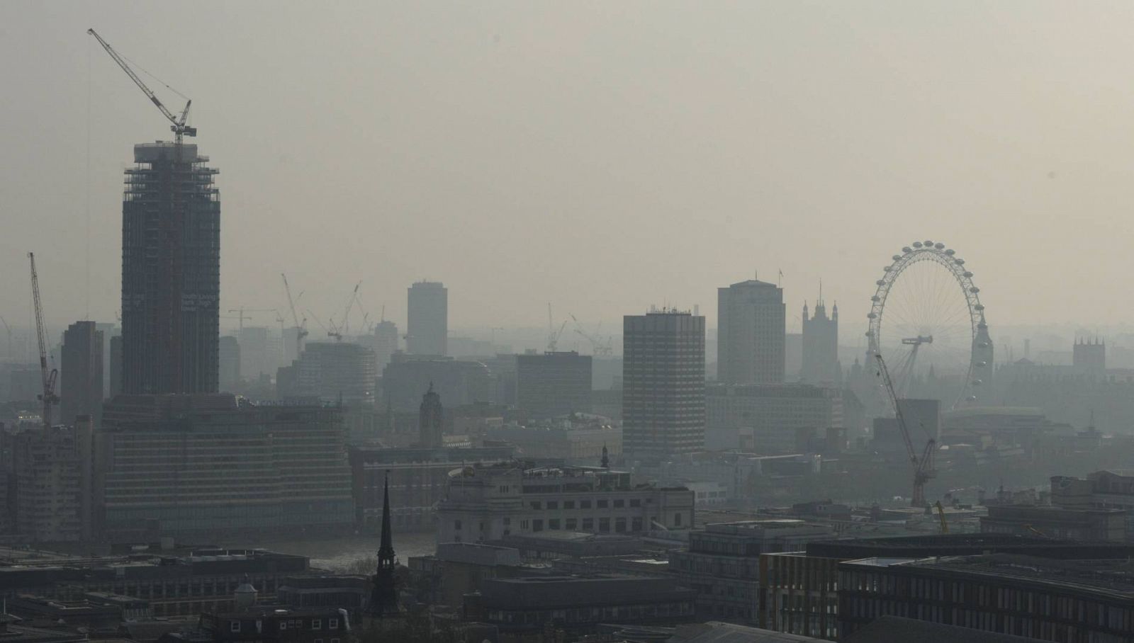 Una sentencia pionera admite que la polución influyó en la muerte de una niña de 9 años