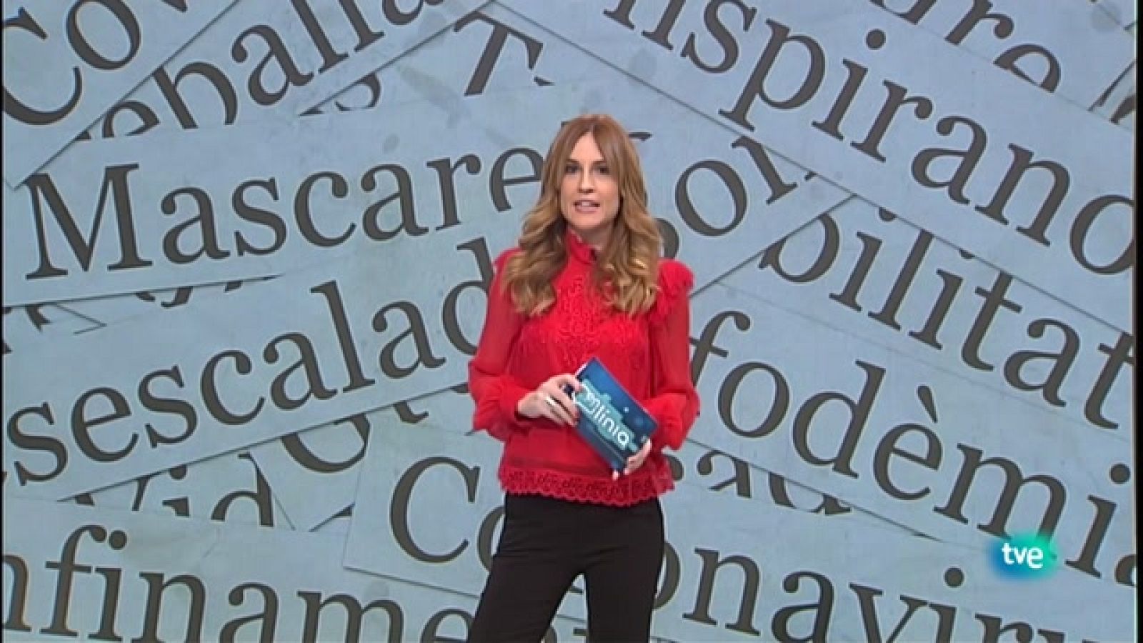 En Línia - Notícies de l'any, amor i odi al Nadal i neologismes del 2020