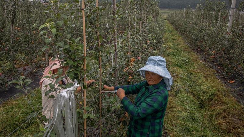 China anuncia que ha erradicado la pobreza extrema | Ver