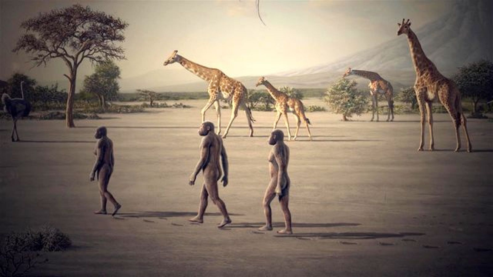 Olduvai, La Cuna de la Humanidad *