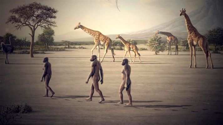Universo UNED - Olduvai, La Cuna de la Humanidad *