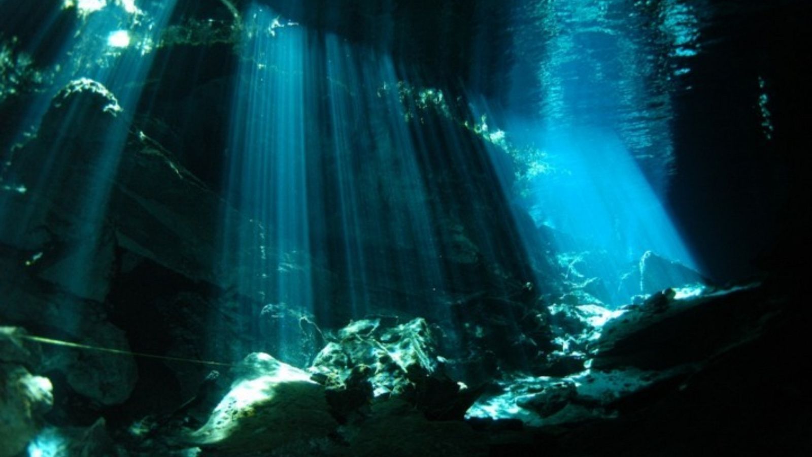 Órbita Laika - Curiosidades científicas - Fuentes hidrotermales