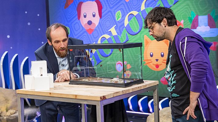 Órbita Laika - Biología con Ricardo Moure - Cucarachas