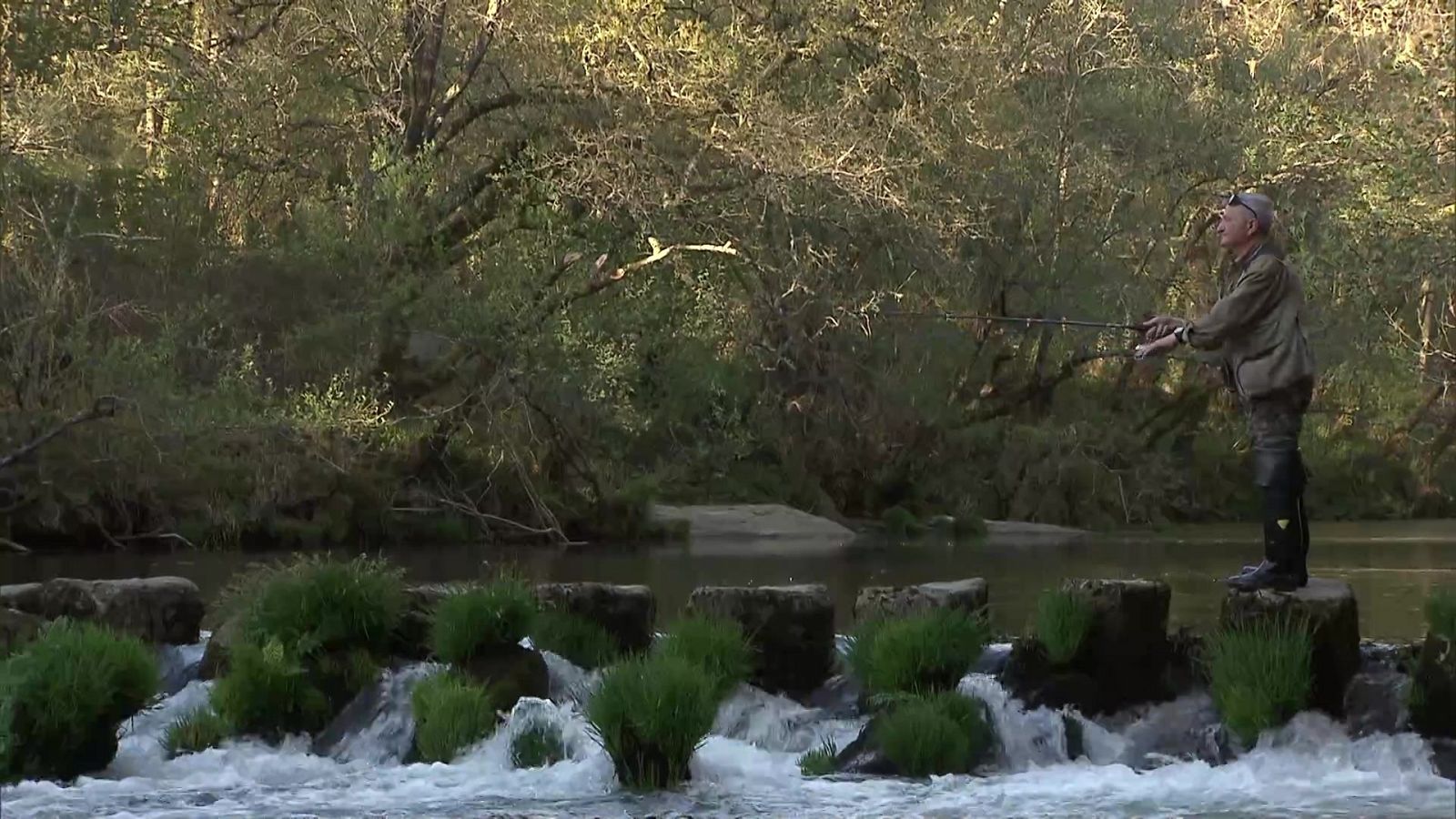 Descubre los secretos del sedal de pesca en río